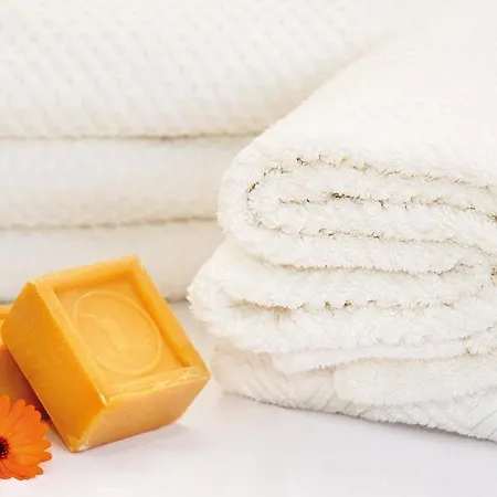 Haus Arnika Pensionat Mellau