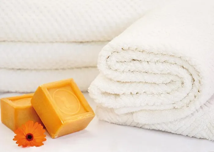 Haus Arnika Guest house Mellau